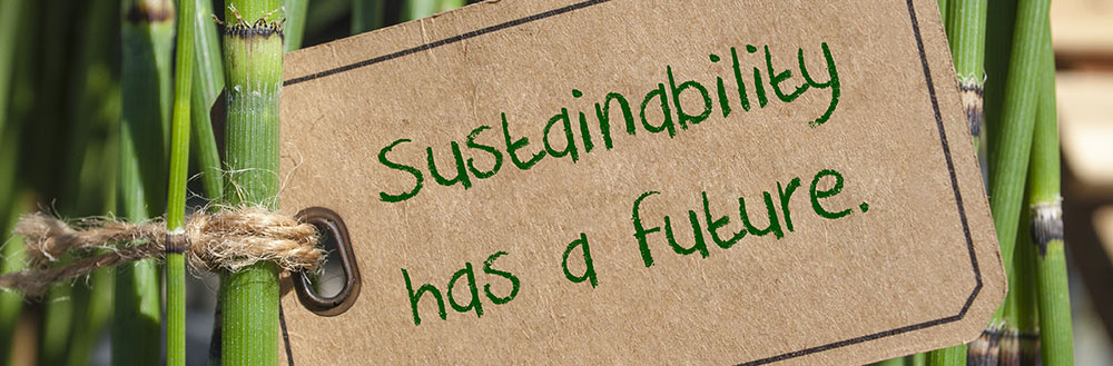 Sustainability has a future